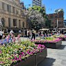 Planter boxes outside the Town Hall.