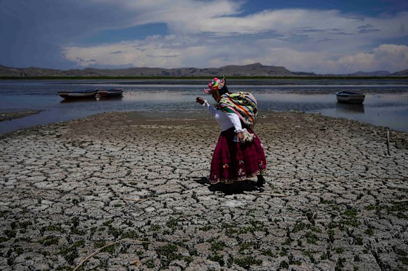 Maruja Inquilla walks on a dried out portion of Lake Titicaca in Coata, Peru, due to falling water levels amid a winter heat wave. 