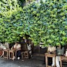 The leafy facade of retro-style cafe Salon de Amanto.