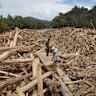 Men stand on logs swept away by flash flood in Batang Toru, North Sumatra, Indonesia.