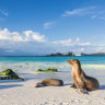 The ‘trip of a lifetime’ tag is cliché but for this getaway it rings true