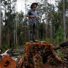 Forestry Corporation contractors assaulted forest activist Mark Graham.
