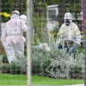 Half a dozen hazmat suit-wearing inspectors are raking through and remove asbestos mulch at Donald McLean Reserve in Spotswood on Friday.