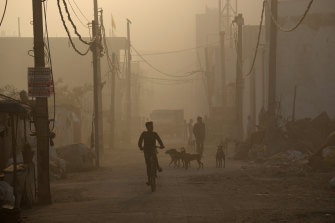 Hindistan'ın Delhi kentindeki Bhalswa çöp sahasında çıkan yangından çıkan yoğun dumanın ortasında bir çocuk bisiklete biniyor.