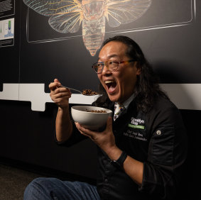 Joseph Yoon, a chef, educator and advocate for the practice of eating insects, at the Queensland Museum.