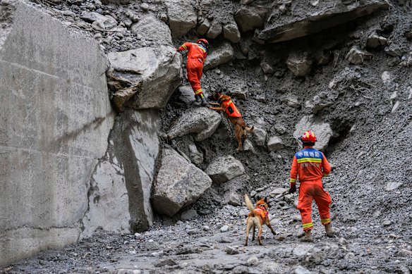 Chinese rescue workers use sniffer dogs to search for flood victims at a mudslide hit area in Gyirong County.