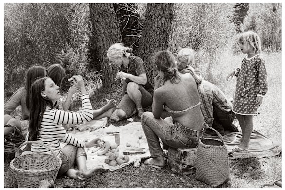 Mary Nolan, Family picnic under the sweet chestnut trees, Anduze, c1973.