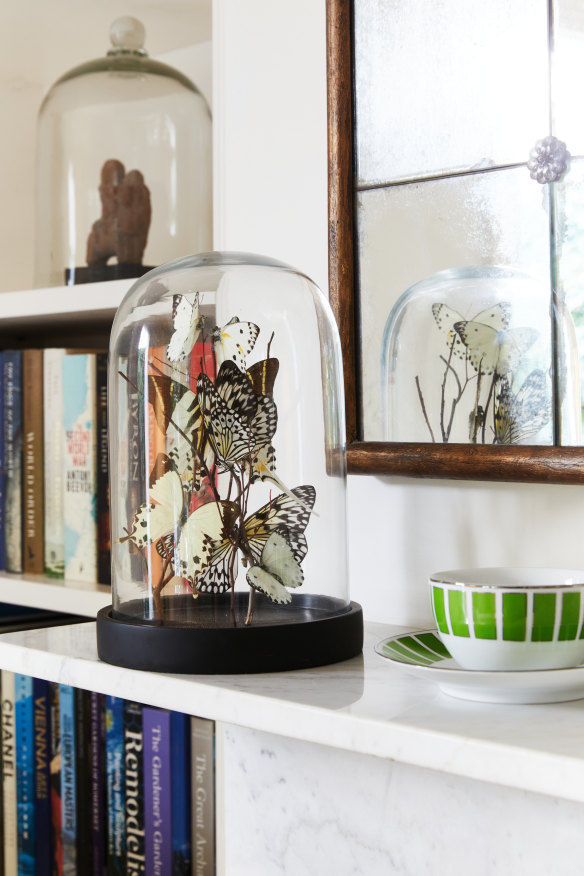 “My butterfly cloche in the sitting room was created by Melbourne based artist and entomologist Jason Penfold. Each month I turn it around to see it from different angles.”