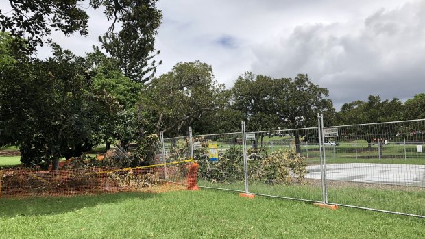 A tree has fallen over at a newly installed basketball court at Musgrave Park, West End.
