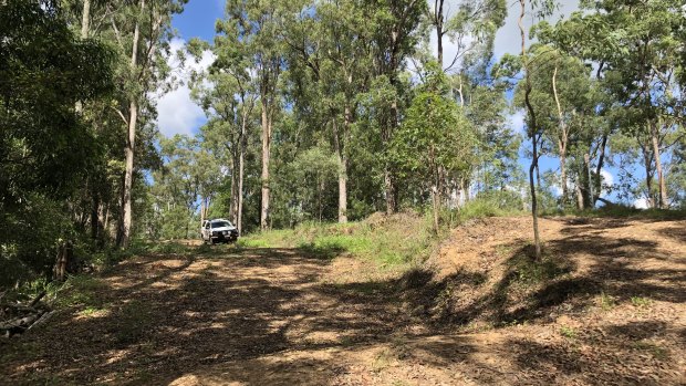 Brisbane City Council will spend $120 million acquiring about 750 hectares of bushland in four years. 