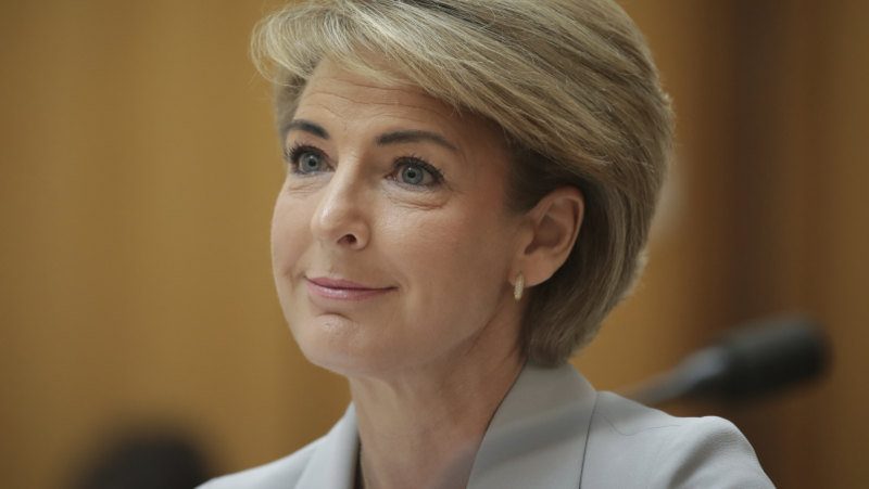 Michaelia Cash could face court over raids as union seeks ...