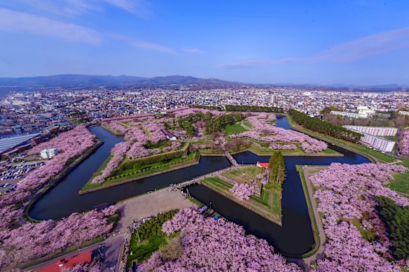 The view from Goryokaku Tower in Hakodate during the cherry blossom season.