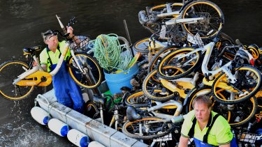 Contractors paid by oBike to collect their bicycles from the Yarra.