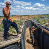 Workers install a trench line in the Donetsk region of eastern Ukraine.