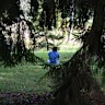 A young doctor participates in a forest-bathing exercise. A professor at Japan’s Nippon Medical School says even a walk in a city park has benefits, but “the larger the forest area, the greater the effects”.