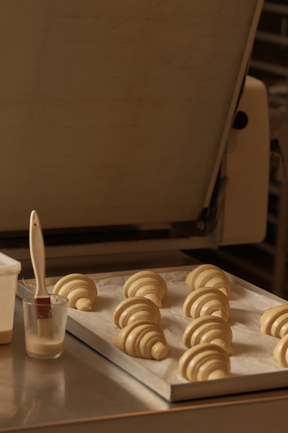 Croissants ready for baking.
