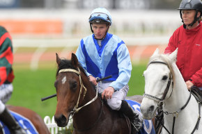 Gloaming chance: James McDonald returns to scale on Tarka after winning the Stan Fox Stakes.