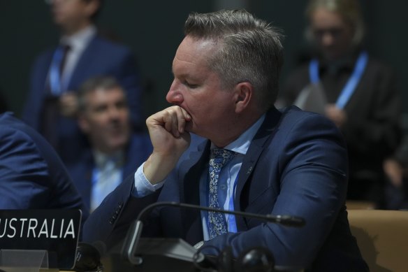 Climate Change and Energy Minister Chris Bowen at the COP29 climate summit in Baku, Azerbaijan.