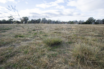 The Higgins Oval fell victim to the drought, but should be back in action this summer.