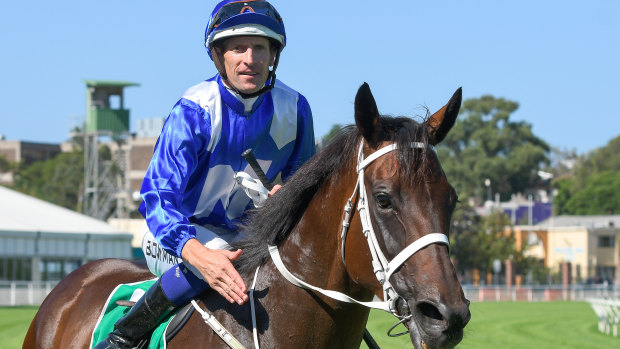 At her peak: Winx will look to take out a world record 17th group 1 in the George Ryder Stakes at Rosehill on Saturday.,