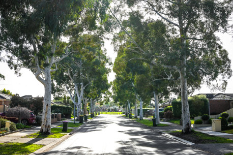 A tree-lined street in South Morang.