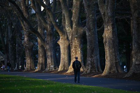 A pedestrian walks through Carlton Gardens on a frosty August morning.