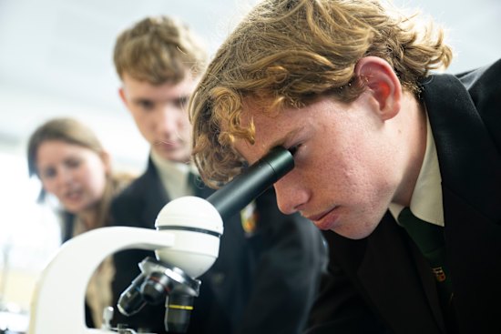 HSC science and biology classes.