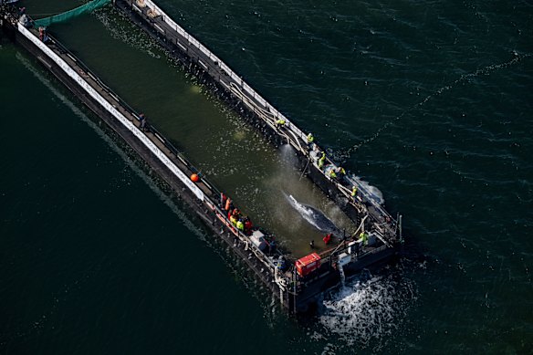 The humpback whale, stranded in the Baltic Sea, has arrived in the barge intended for its transportation near the island of Poel, Germany.