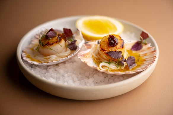 Sizzling half-shell scallops with nam prik pao brown butter and makrut lime leaf. 