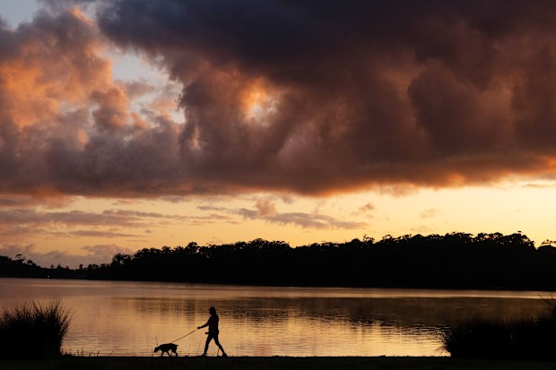 Narrabeen Lagoon has a very popular walking track on Sydney’s Northern Beaches.