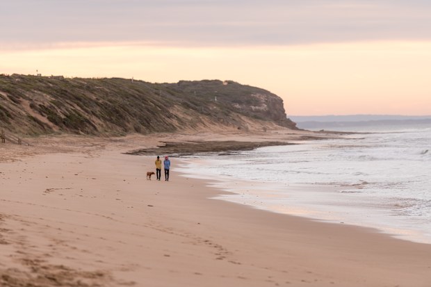 Two people and a dog walk along a deserted beach