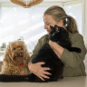 Penny Pedersen with her inside cat Neville and dog, Harvey, at her Ryde home in Sydney.