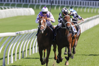 Wagga Cup top selection Irish Sequel (right) holds off stablemate and fellow cup contender Aleas at Randwick on April 23. 