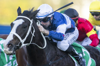  Mubariz is the top selection in an open Wyong Cup.