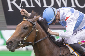 Forbidden Love could be set to cause a first-up surprise in the Expressway Stakes at Rosehill on Saturday.