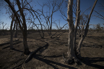 Drought Deepens As Very Dry Winter Combines With Record Heat