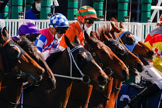 Racing returns to Dubbo on Sunday with a seven-race program.