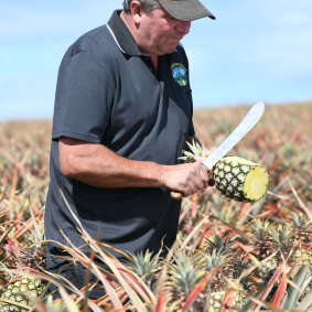 Queensland pineapple farmer Ken Fullerton.