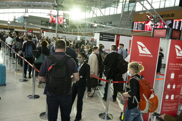 Lengthy queues at Sydney Airport. 