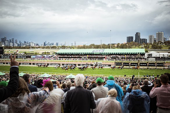 Horses race down the Flemington straight on Melbourne Cup Day. 