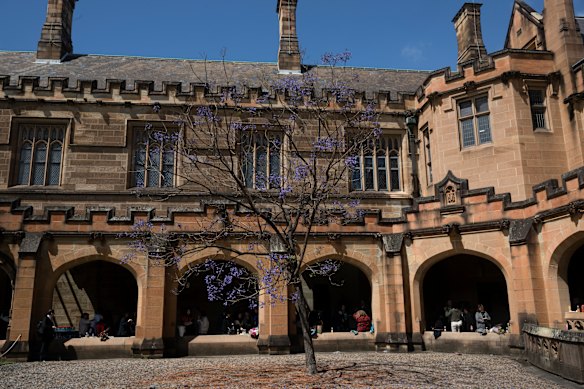 Jewish students at Sydney University had to contend with student activists who entered lecture halls chanting antisemetic slogans, the report said.