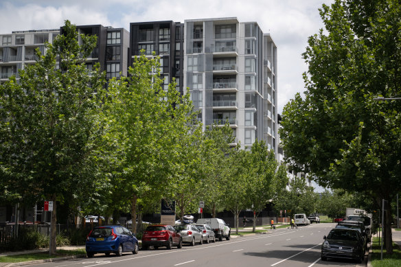 Penrith has seen the greatest increase in the amount of urban tree canopy, up 6.36 per cent in the past year. 