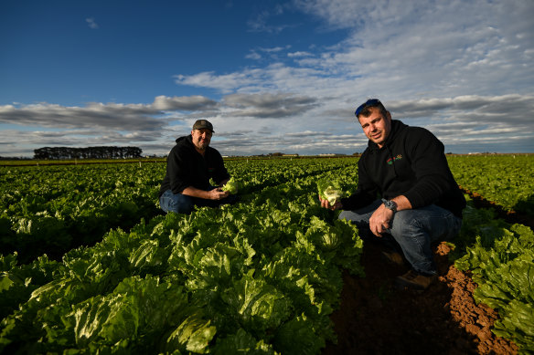 Vegetable growers Marco and Amo Mason on their Werribee South farm.