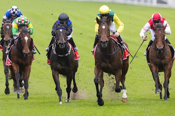 Widdup to back Adelong for stakes grade return after confidence ...