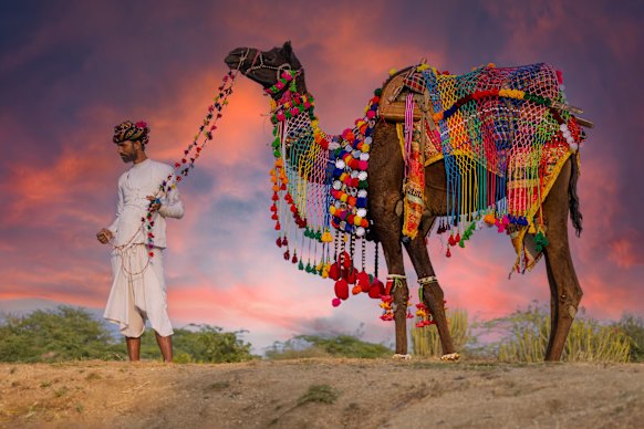 The Rabari people are an ethnic group from the Rajasthan region. 