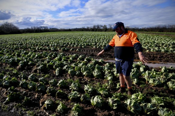 John Vella’s entire crop of lettuce and cabbage has been lost to the floods.