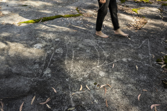 Rock carvings at Daleys Point Aboriginal site in the Bouddi National Park, near Killcare Heights.