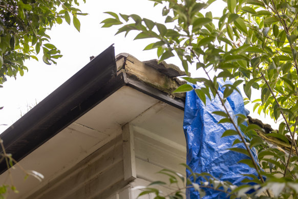 The roof of Hudson’s home is broken in several places and the gutters have rotted. 