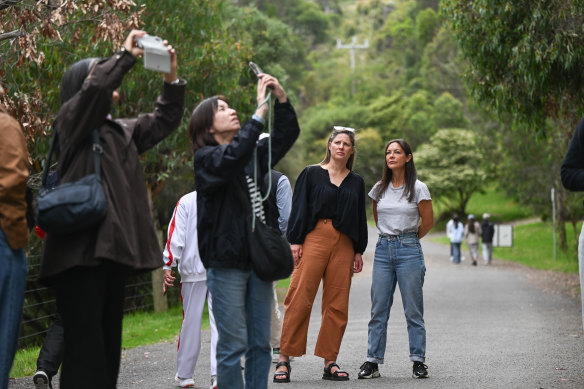Kennett River residents Elenore Lannigan (second from right) and Jules Lin amid the tourists.