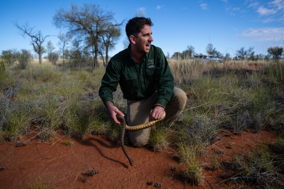 AWC ecologist Joey Clarke with a woma python.